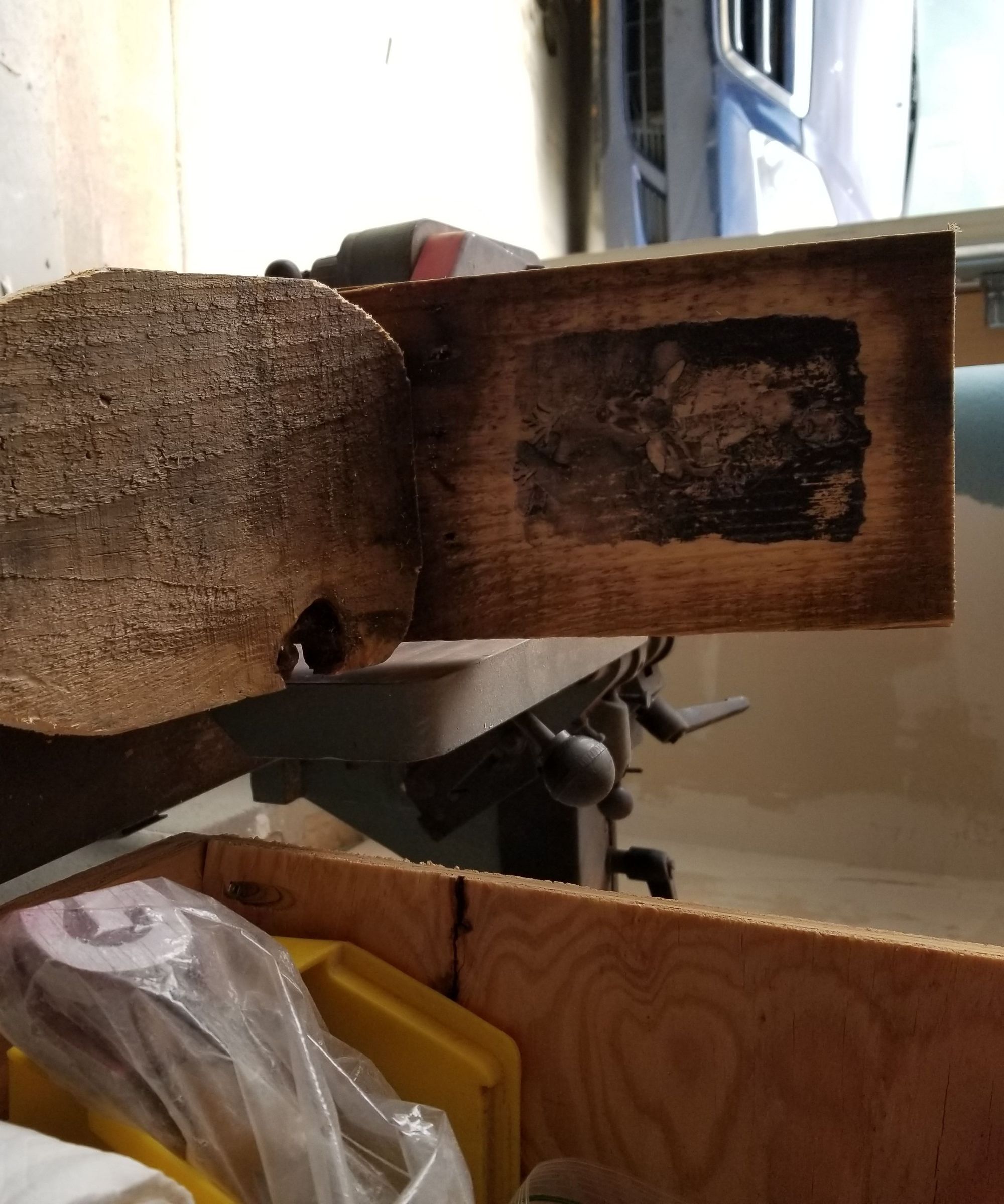 Antler Mount With Photo Transfers