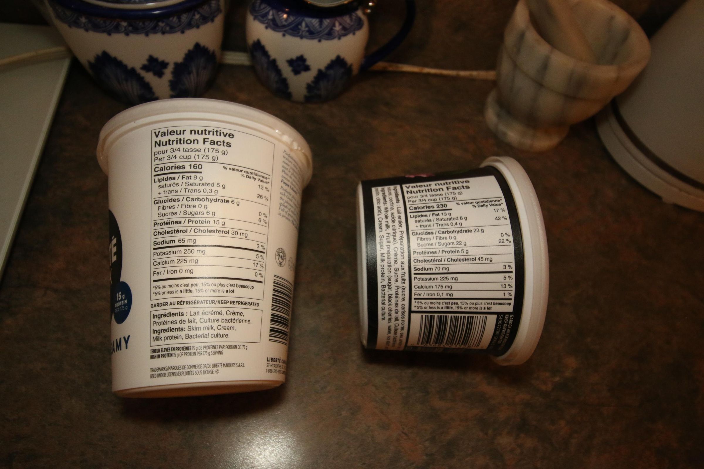 Flavoured Yoghurt for Diabetics 3 Steps Instructables