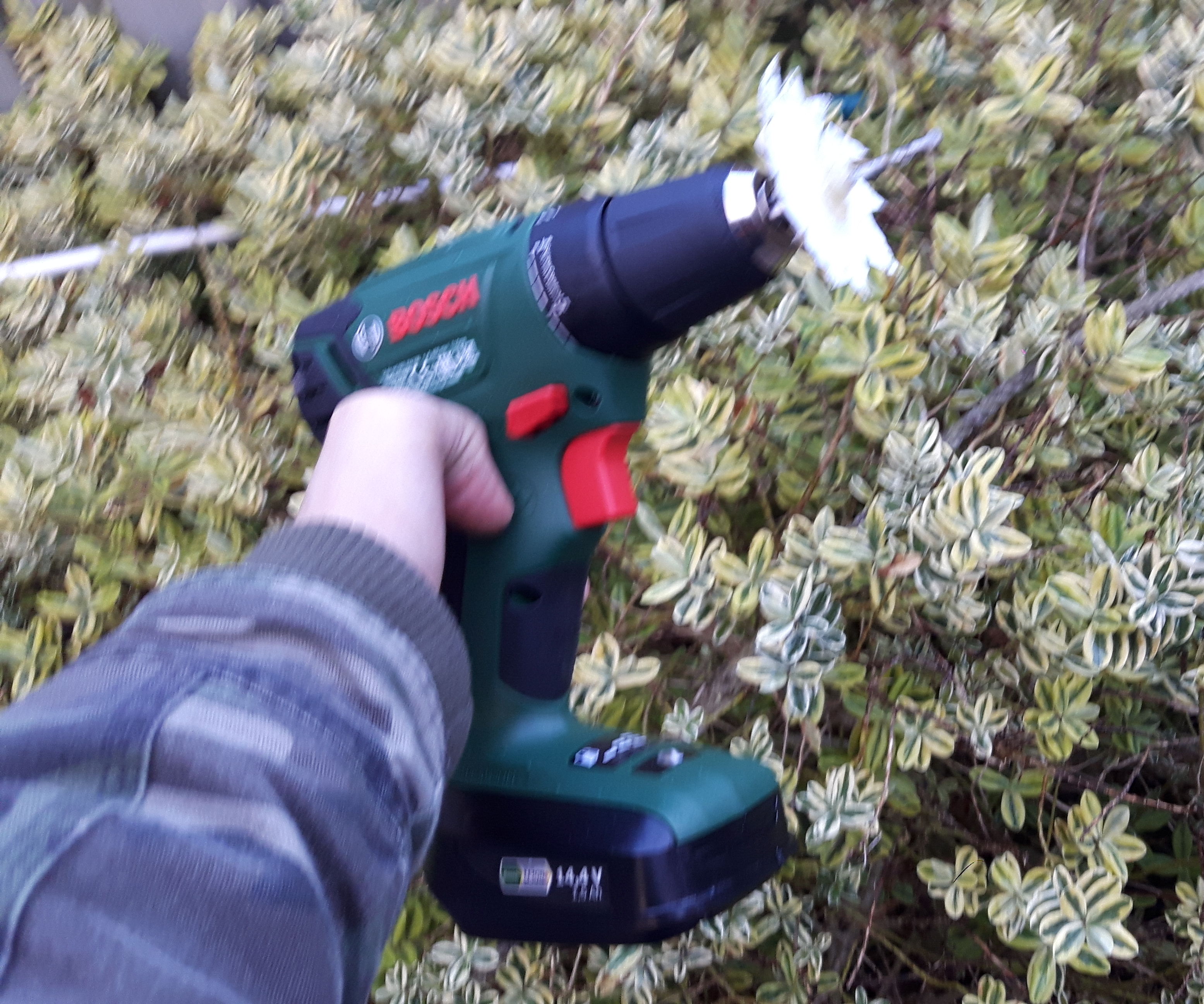 How to Make a Pruning Machine