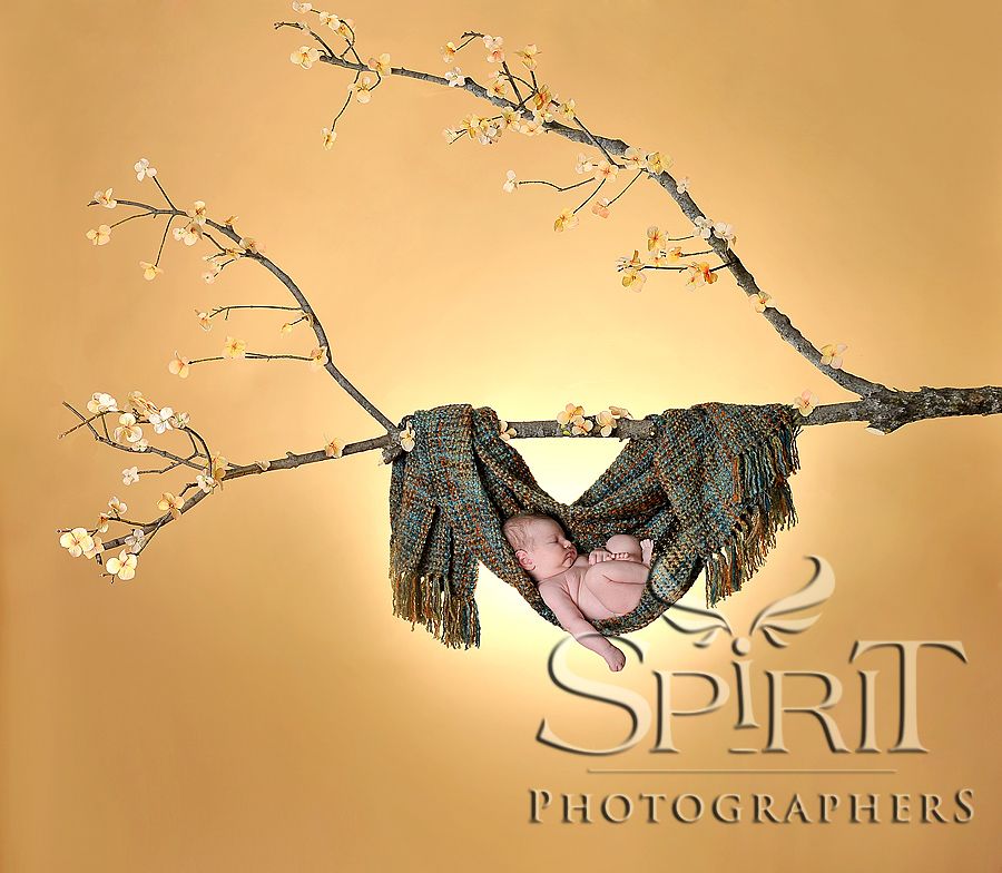 Photographers Photoshop Trick