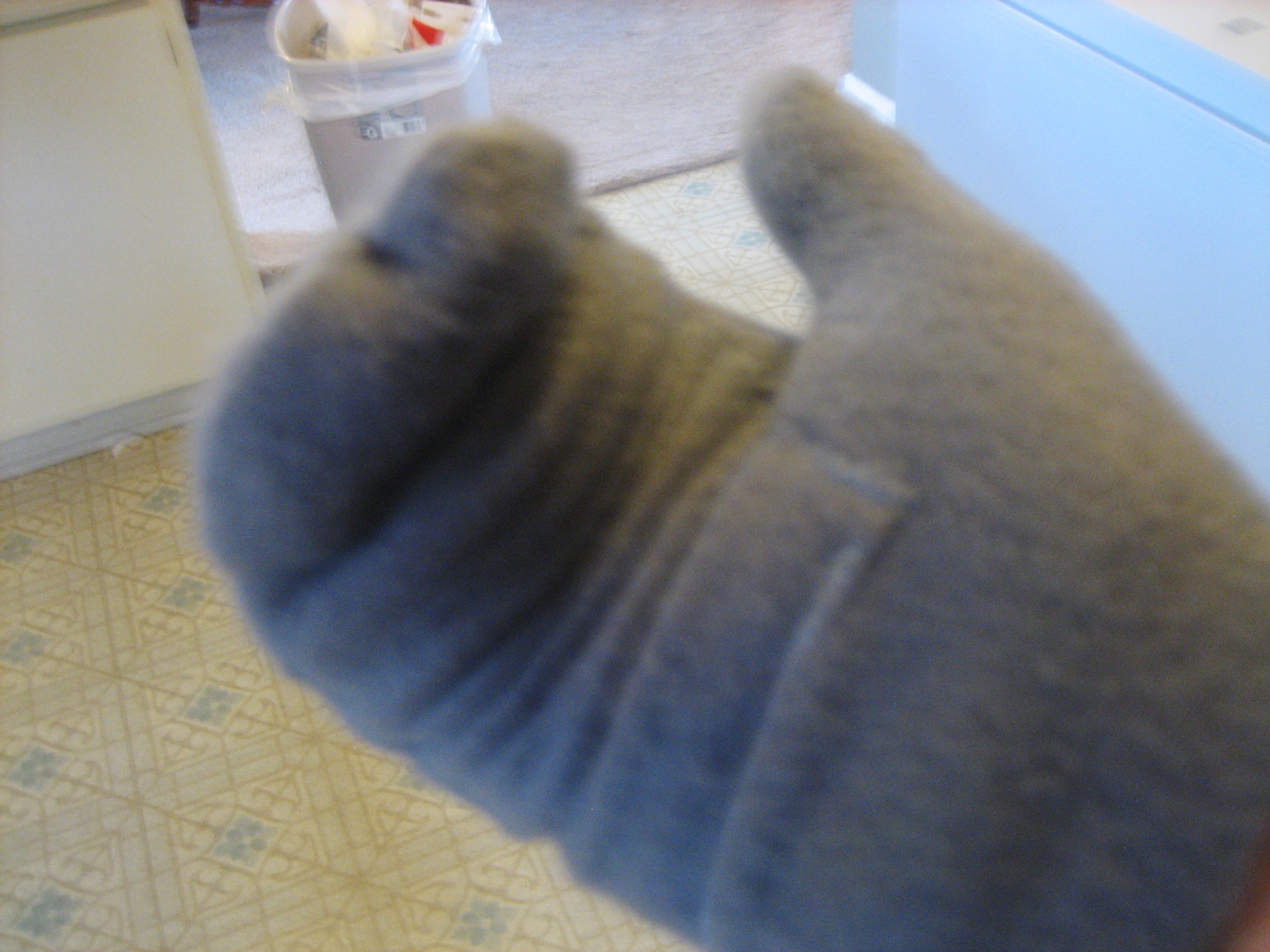 hand-warming mittens
