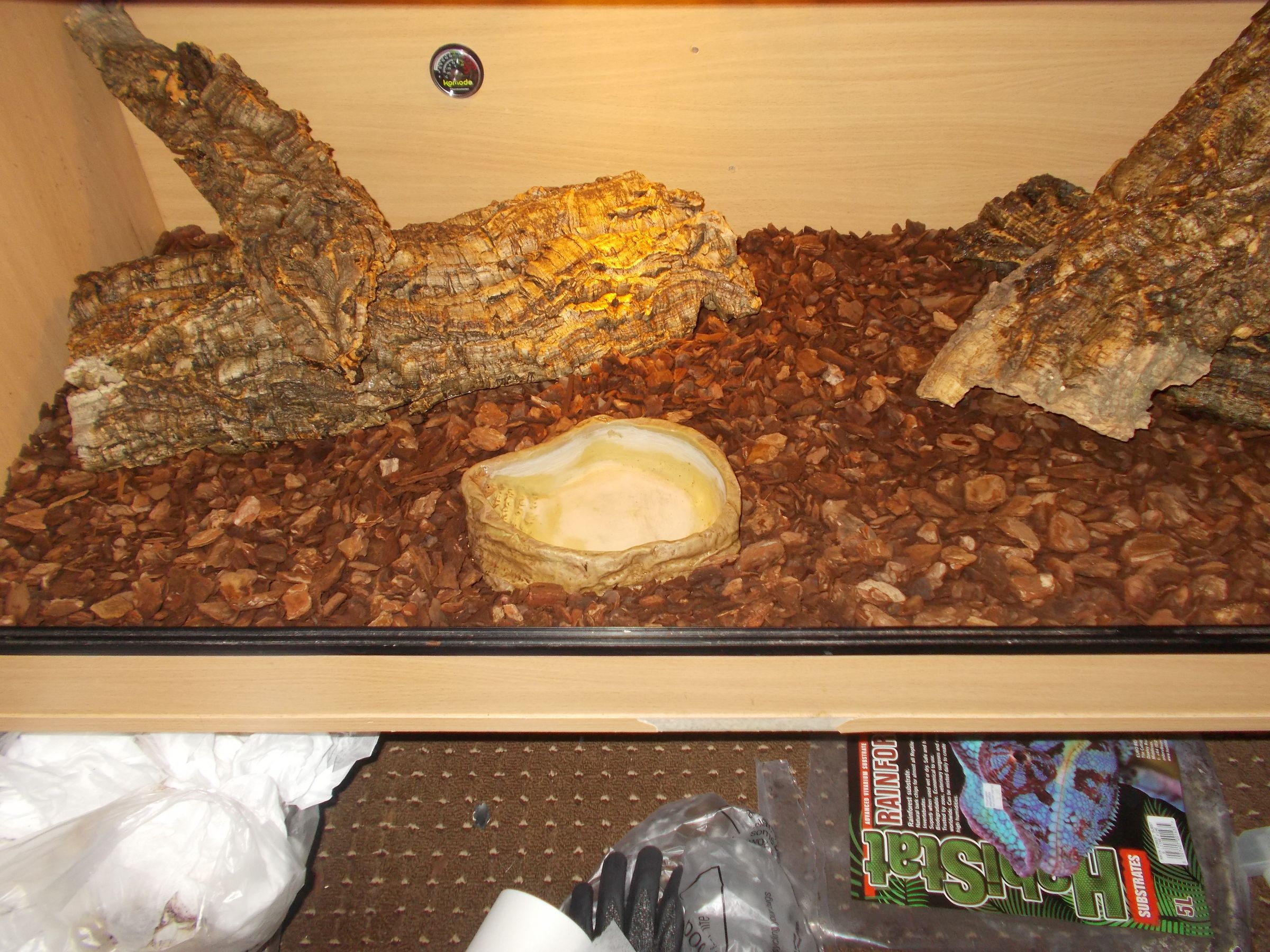 How to Setup a Snake Viv 13 Steps Instructables