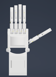 Prosthetic Hand