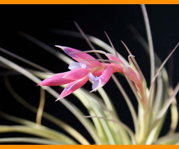 Collection Cover Image: Photography Tips