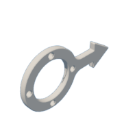 download {{ file.name }}