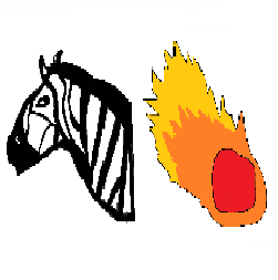 ZebraComet