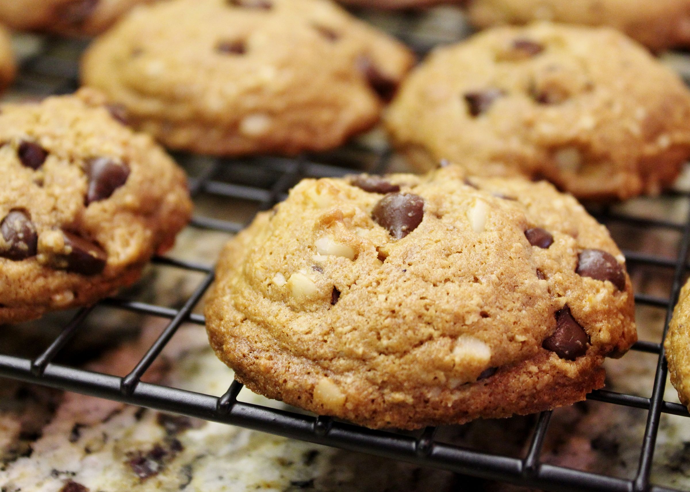 Gluten Free Bittersweet Chocolate Macadamia Nut Cookies