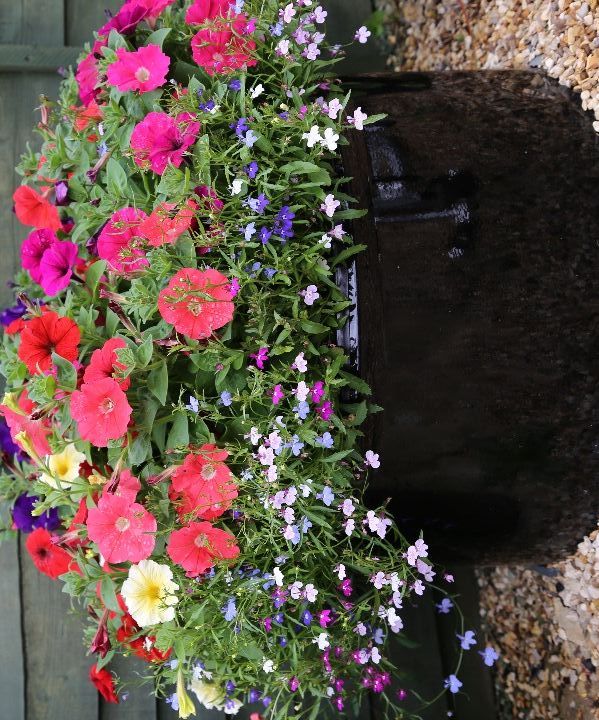 Barrel Planter
