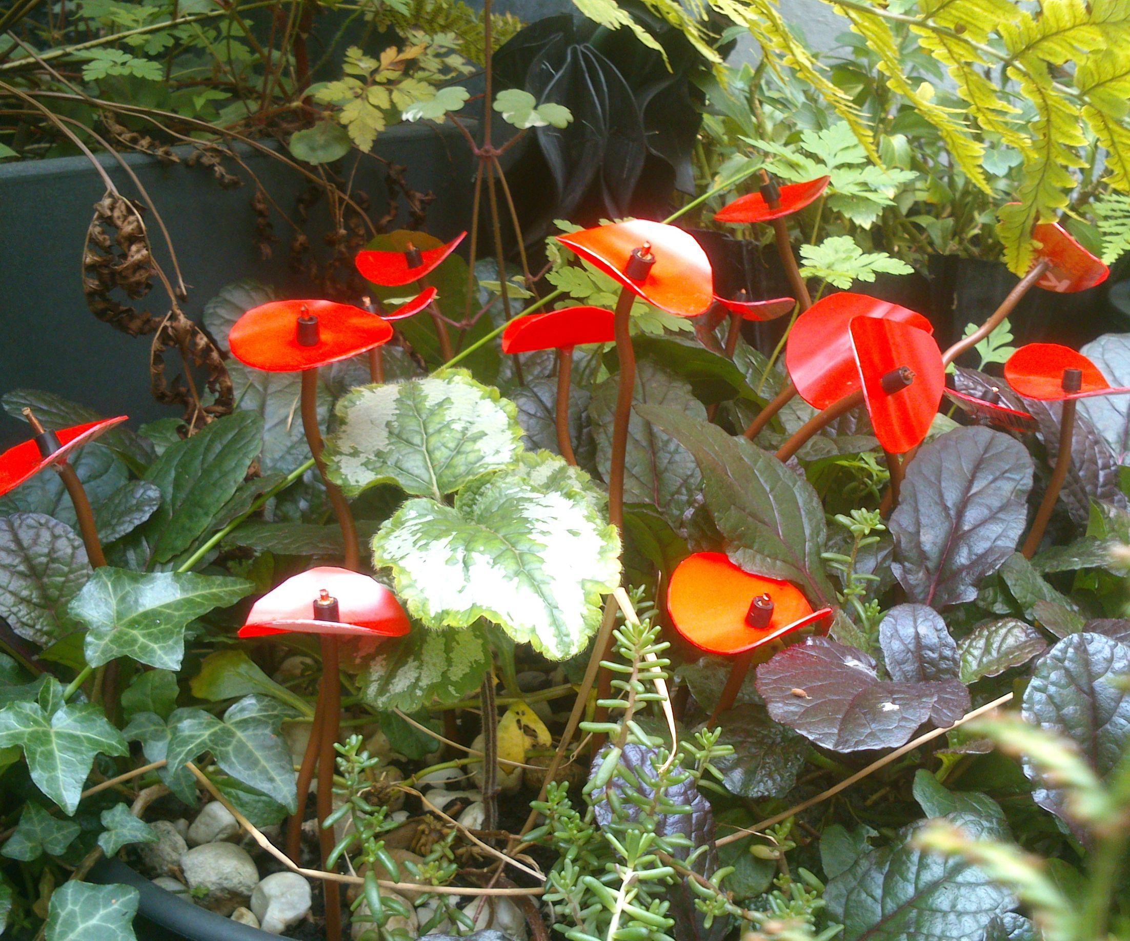 Ornamental Plastic Flowers