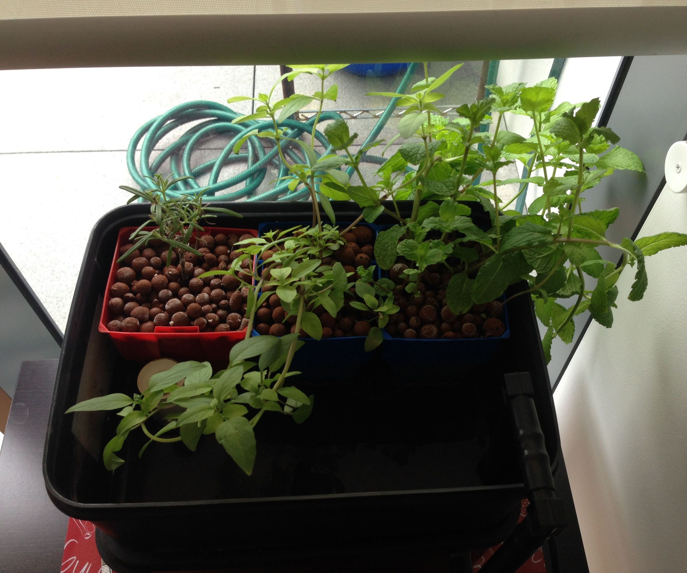 Mini Hydroponics Herb Garden V2.0