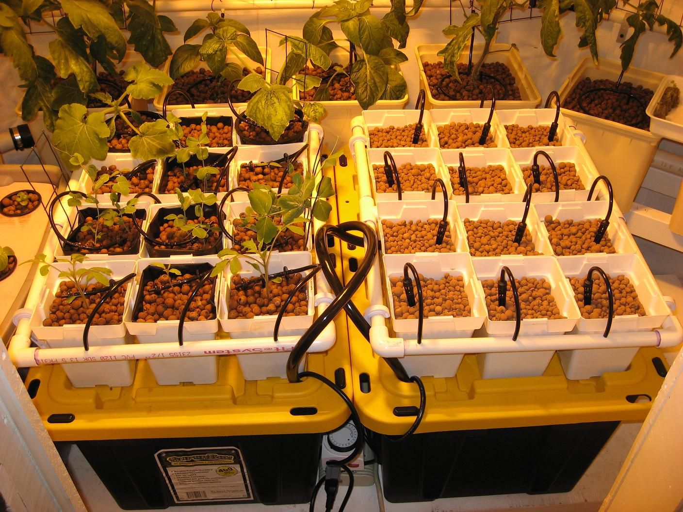 Hydroponic Drip Garden for Vegetables, Herbs or Flowers