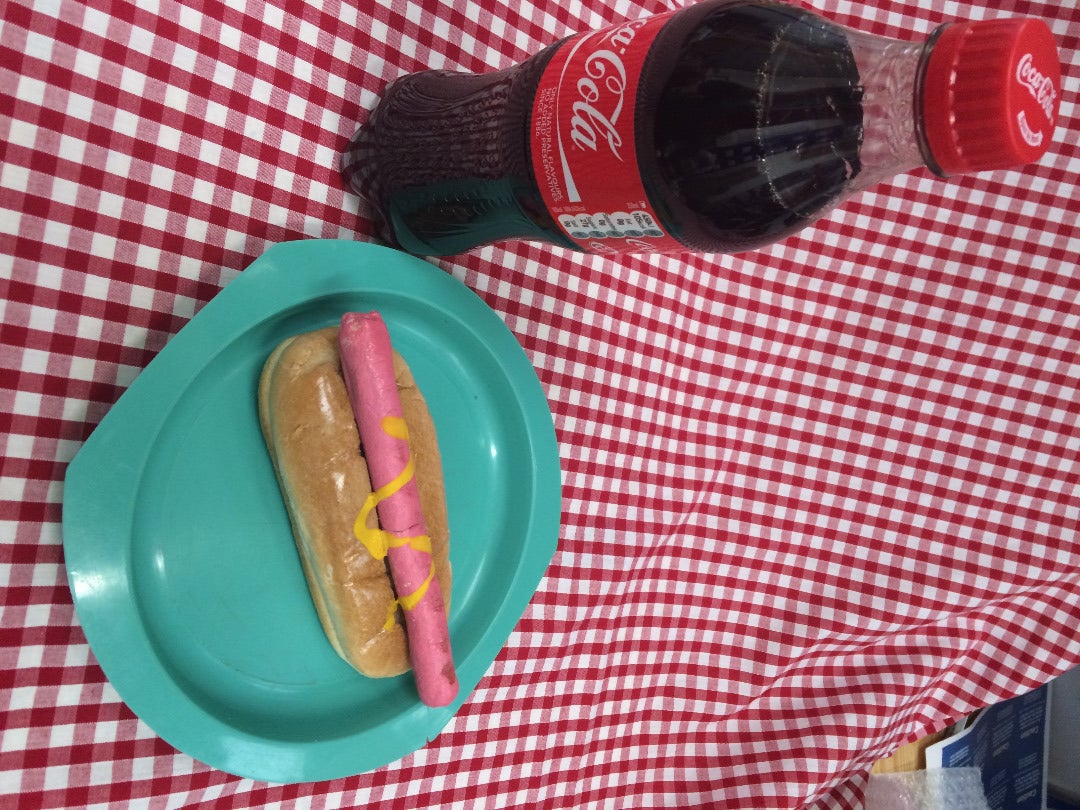 Prop Fake Diner Food Burgers, Chips, Fries, Hotdogs for Grease the Musical