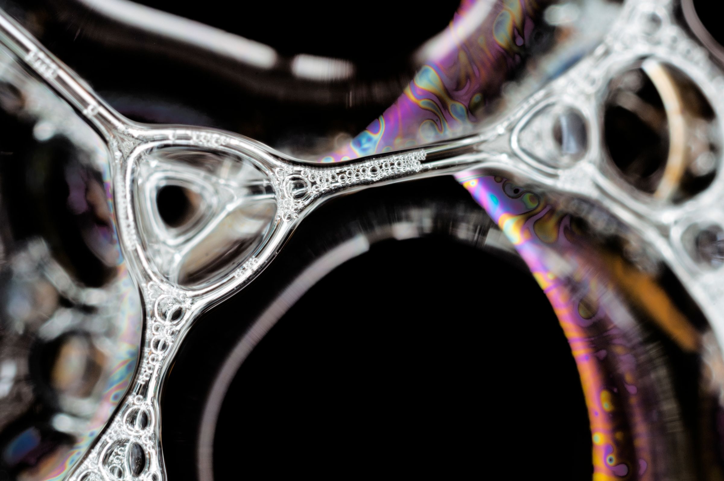 Macro Photography and Photomicroscopy