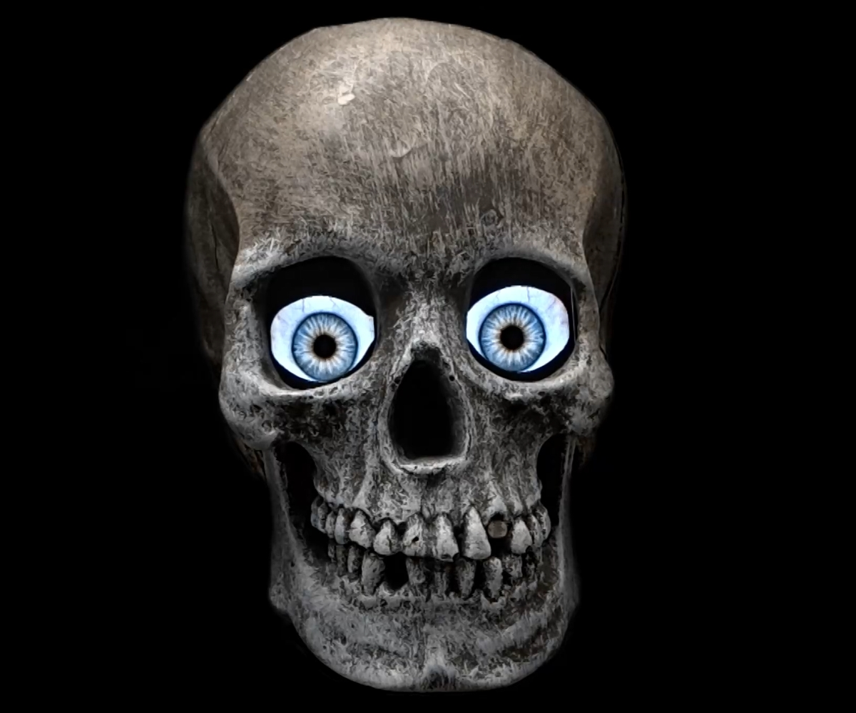 Skull With Realistic Animated Electronic Eyes (Perfect for Halloween!)