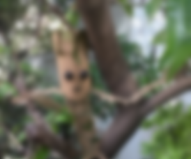 Can You Guess, What I Make?