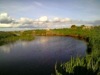  River Lure Fishing for Pike 