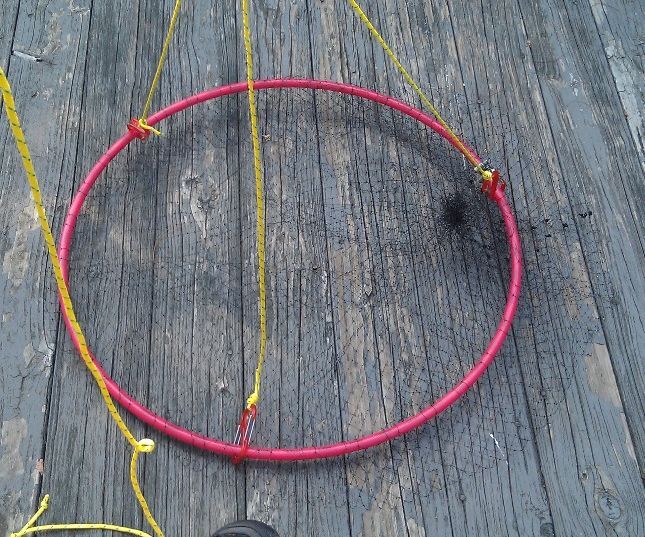 Homemade Pier/Bridge Landing Net  (Fishing)