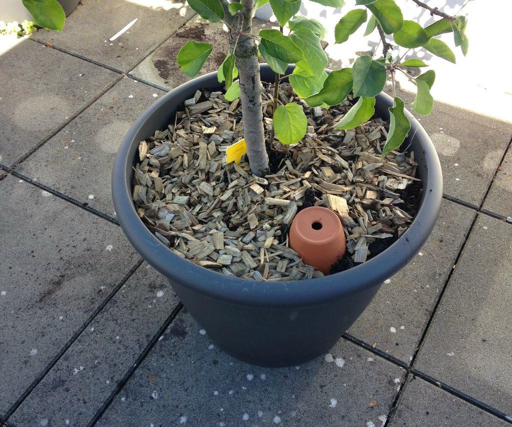 DIY Irrigation Pots - a Modern Take on an Ancient Technique