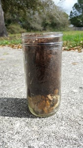 Add Potting Soil