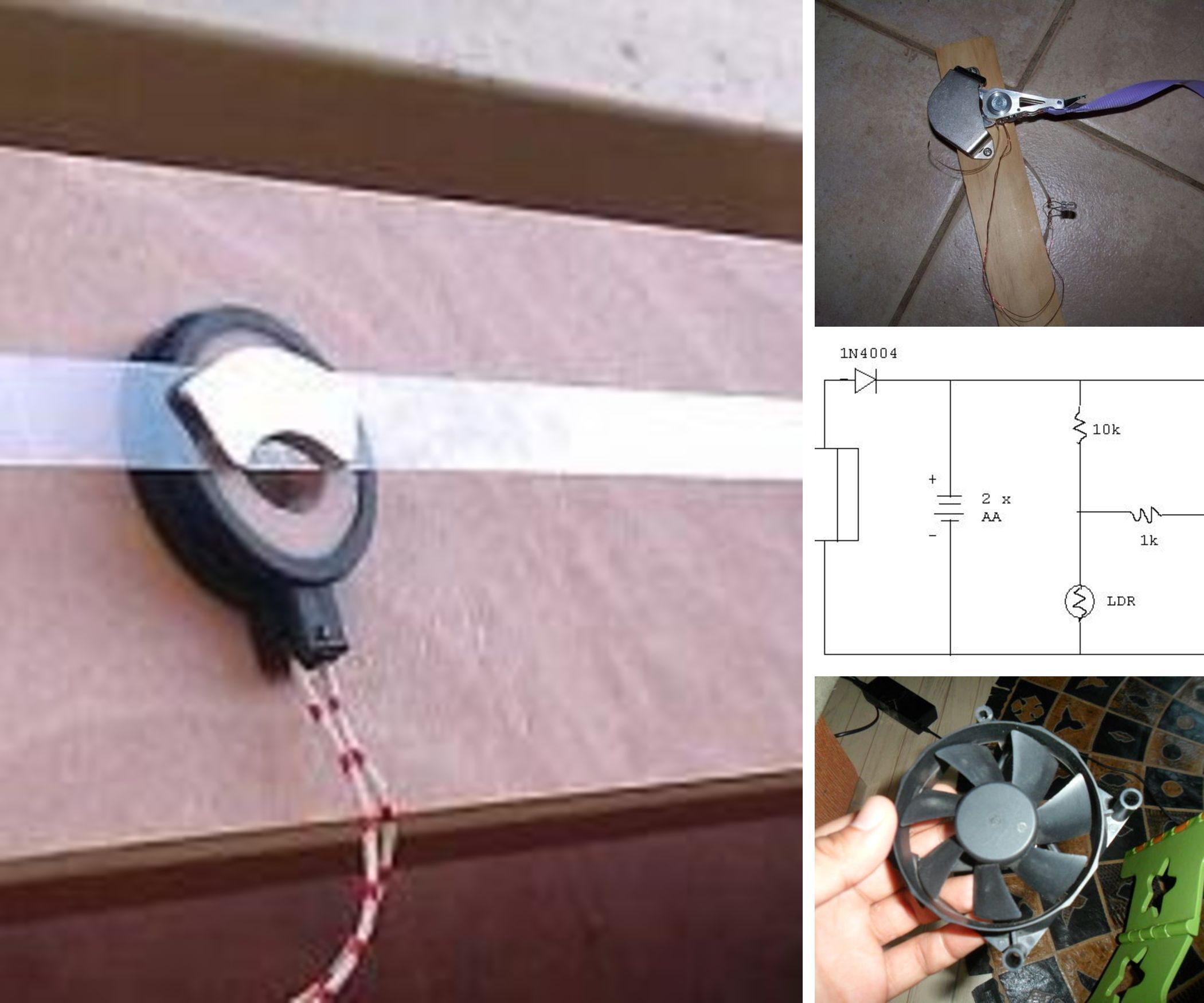 Free Energy