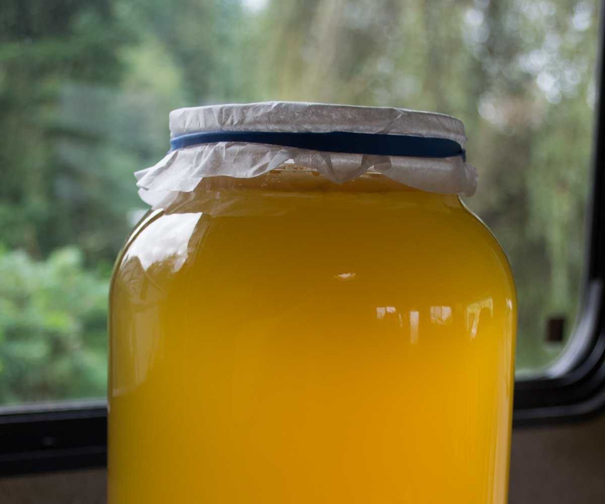 Kombucha