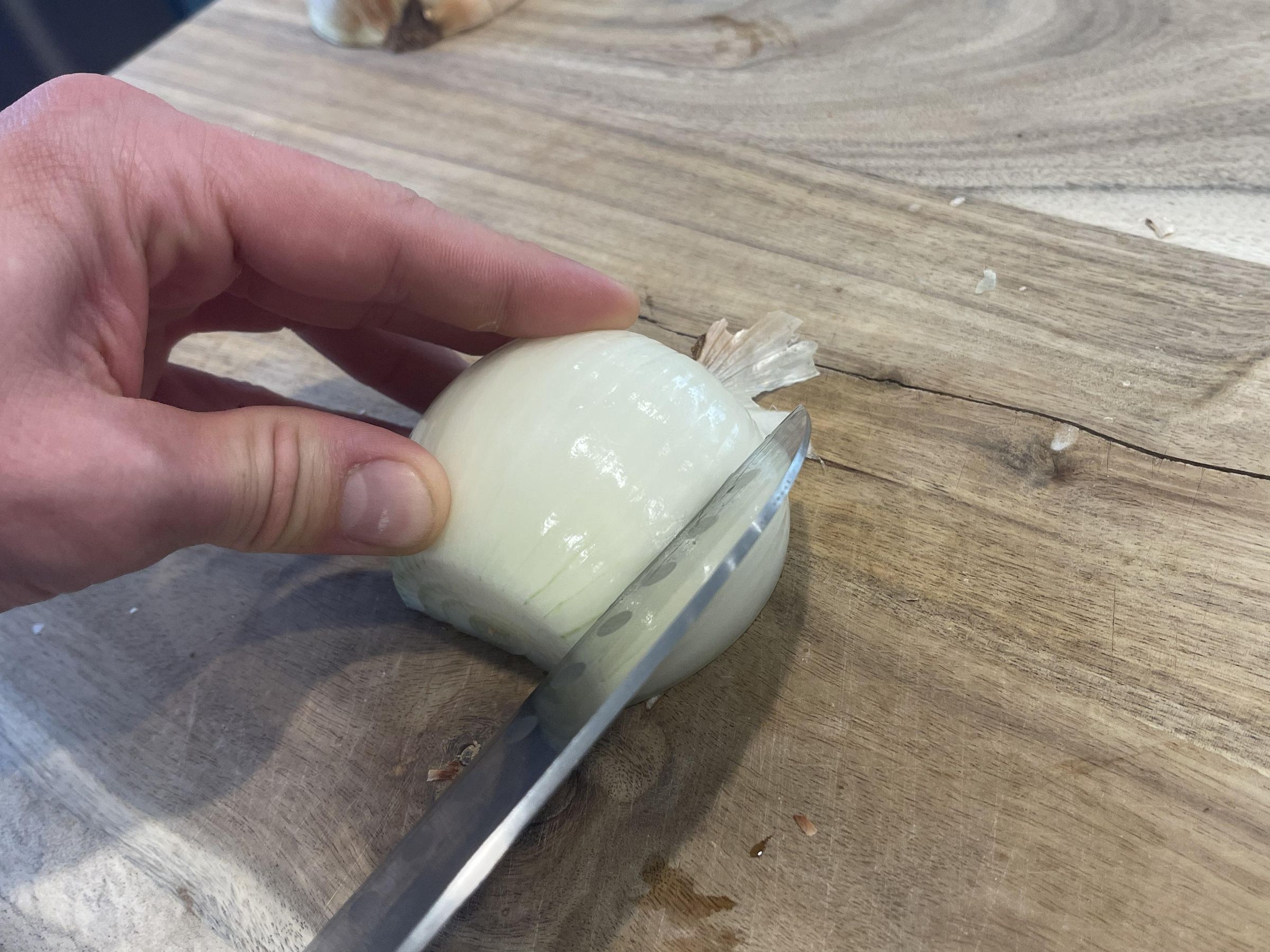 How to Properly Dice an Onion 10 Steps Instructables