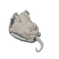 download {{ file.name }}