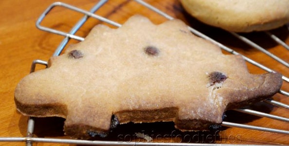 Vegan Spelt Chocolate Chip Creamcheese Cookies