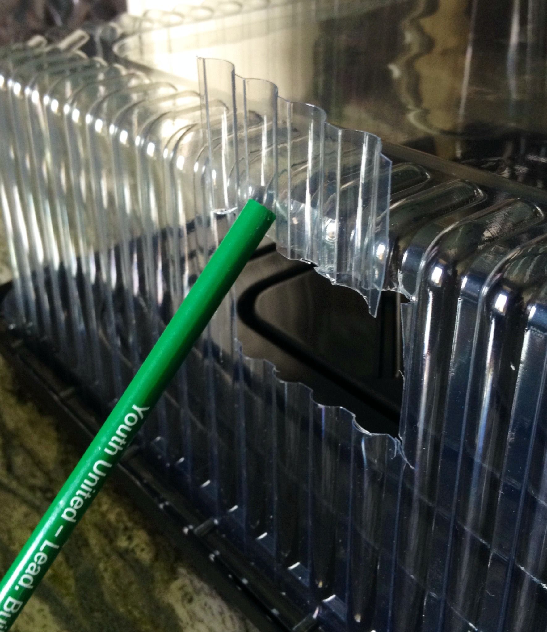 Recycled Seed Germination Humidity Dome 7 Steps Instructables