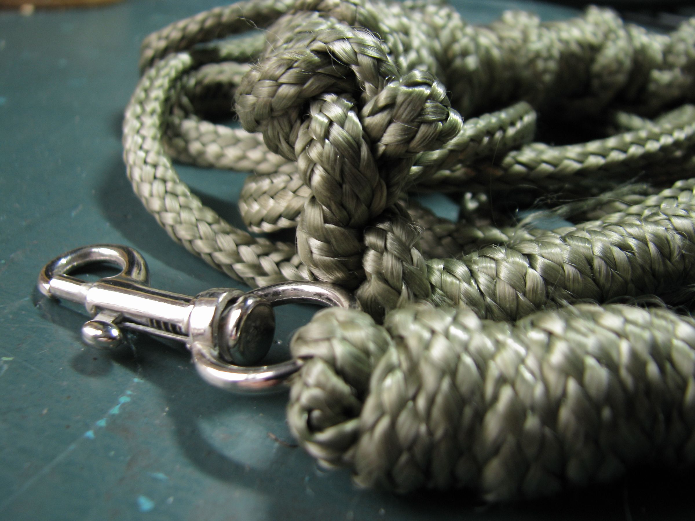 Paraleash - a Dog Leash From Paracord