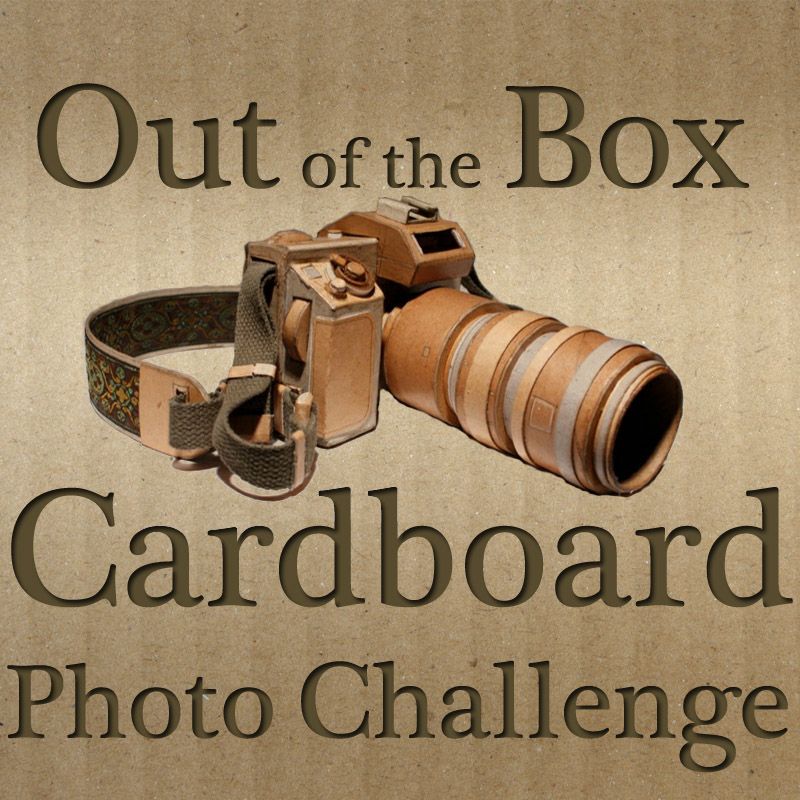 Collection Cover Image: Out of the Box: Cardboard Photo Challenge