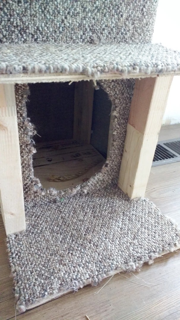 Design a Kitty Condo!