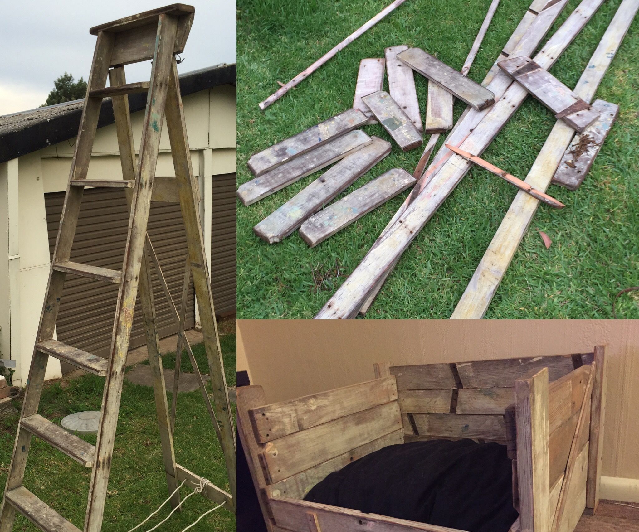 Old Ladder, New Dog Bed.