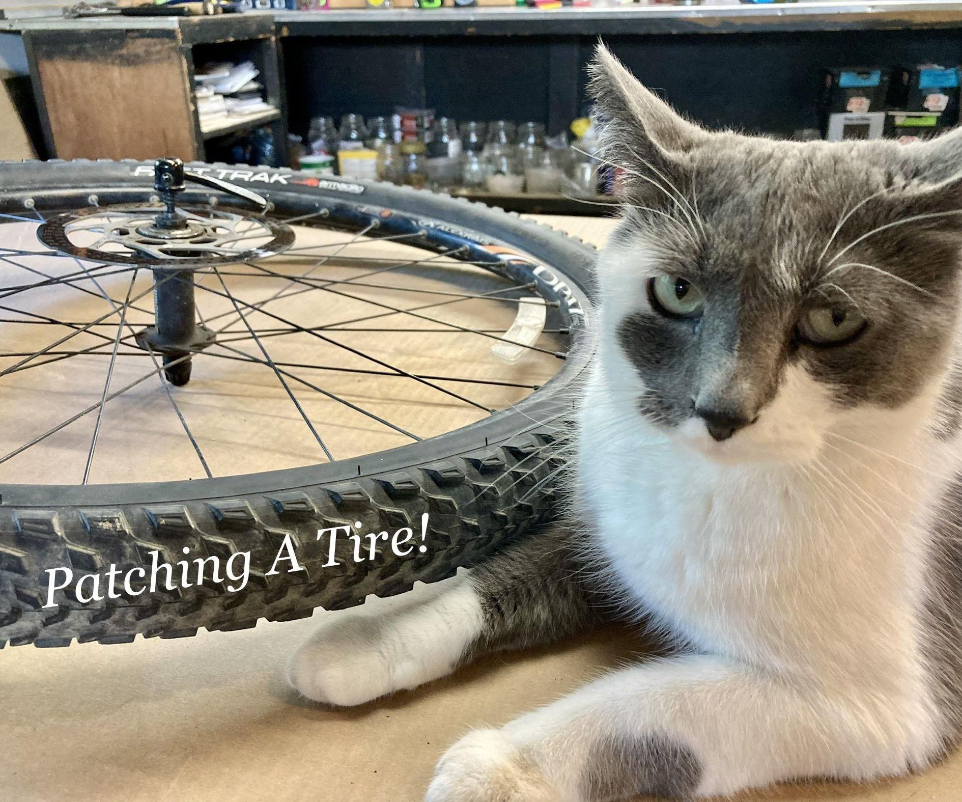 Patching a Bike Tube for Beginners, (and Cats ) 8 Steps (with Pictures) Instructables