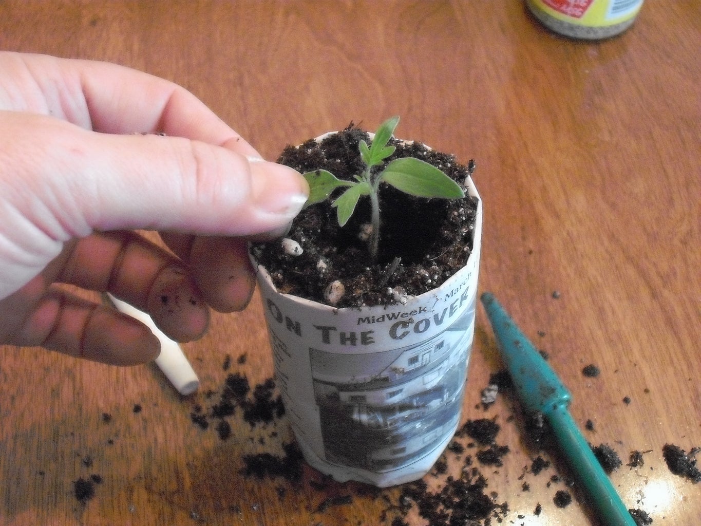 Making Paper Plant Pots 8 Steps Instructables making-paper-plant-pots-8-steps-instructables
