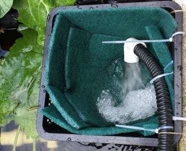 A Totally Optional Way to Keep the Pond Cleaner
