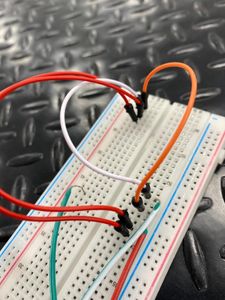 Fotografías Del Proceso: