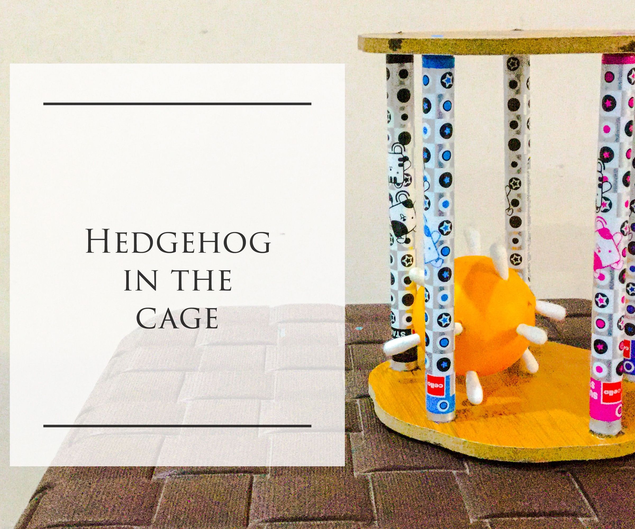 Hedgehog in the Cage!