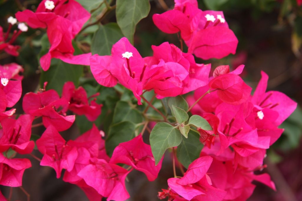 Living a Greener More Energy Efficient Life