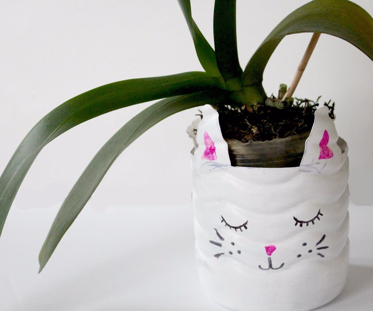 DIY Recycled Bottle Plant Holder