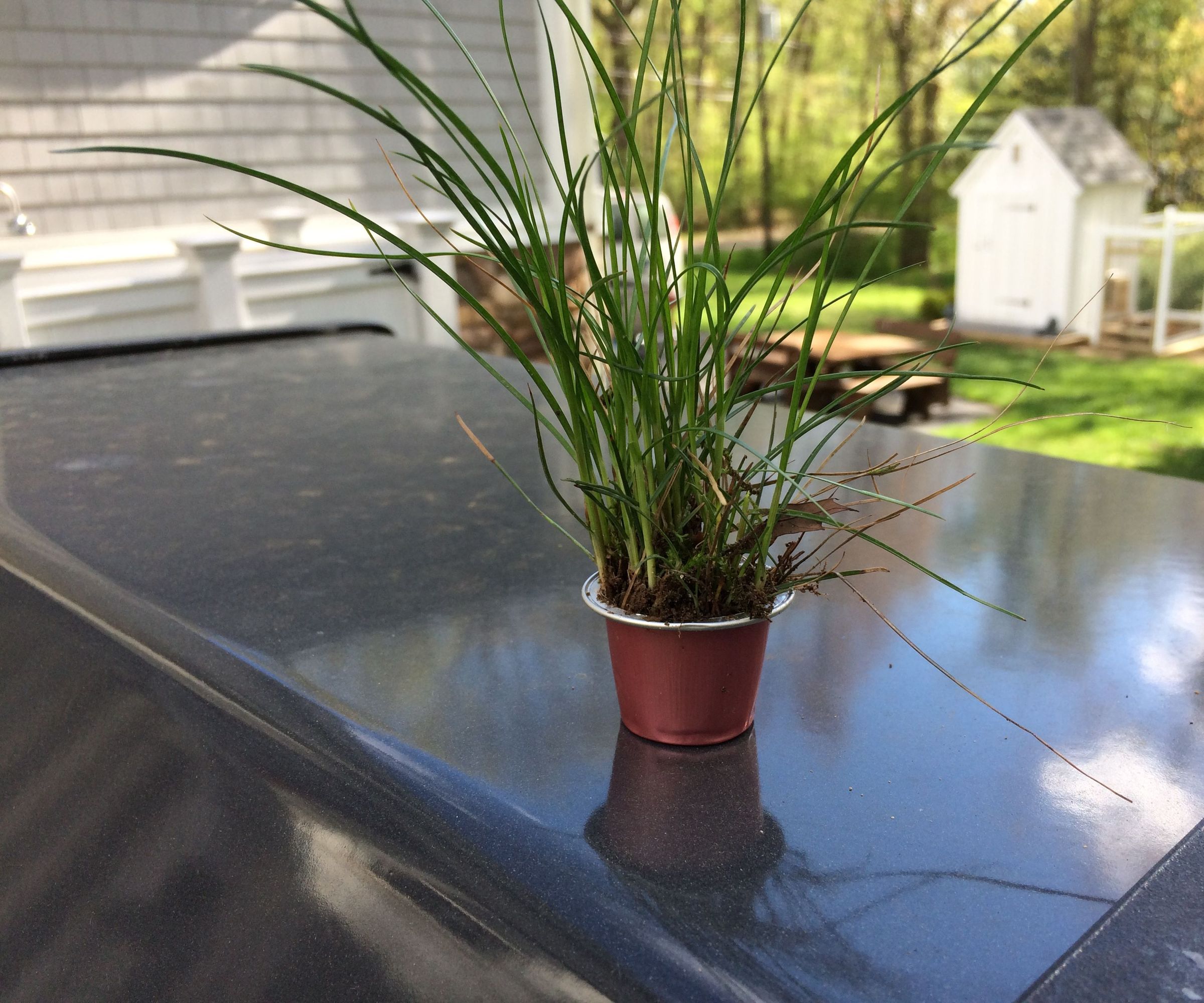 Nespresso Planter- What Else?