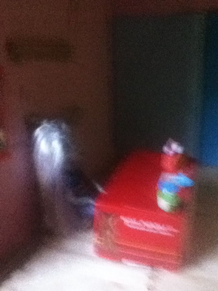 Dollhouse #3 Sweet Shop\candy Store