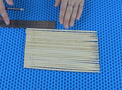 I Used the Chopsticks With Which You Eat Sushi
