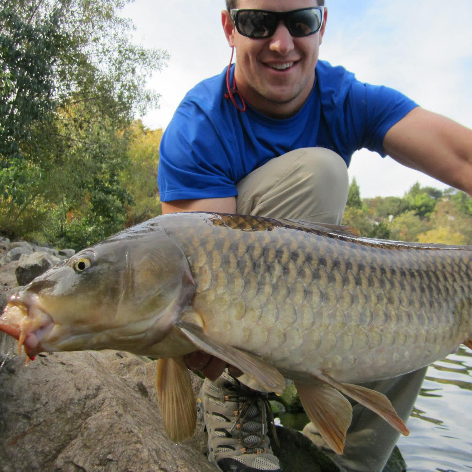 How to Fish for Carp