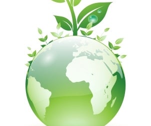 How to Harness Green Energy From Your Kitchen Sink