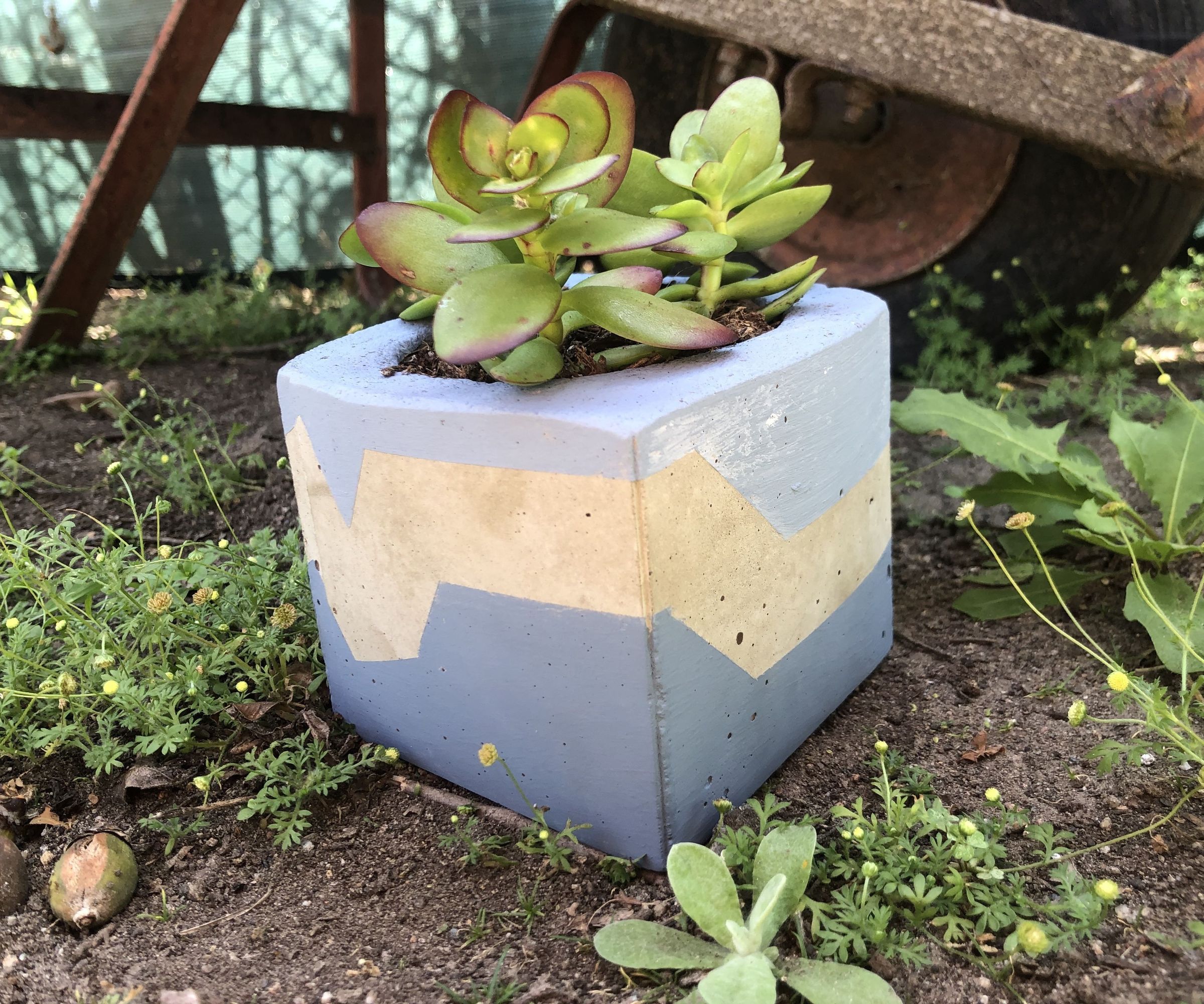 Cheap and Stylish DIY Concrete Pots