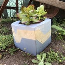 Cheap and Stylish DIY Concrete Pots