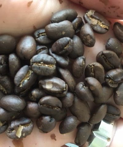 Coffee From Bean to Cup