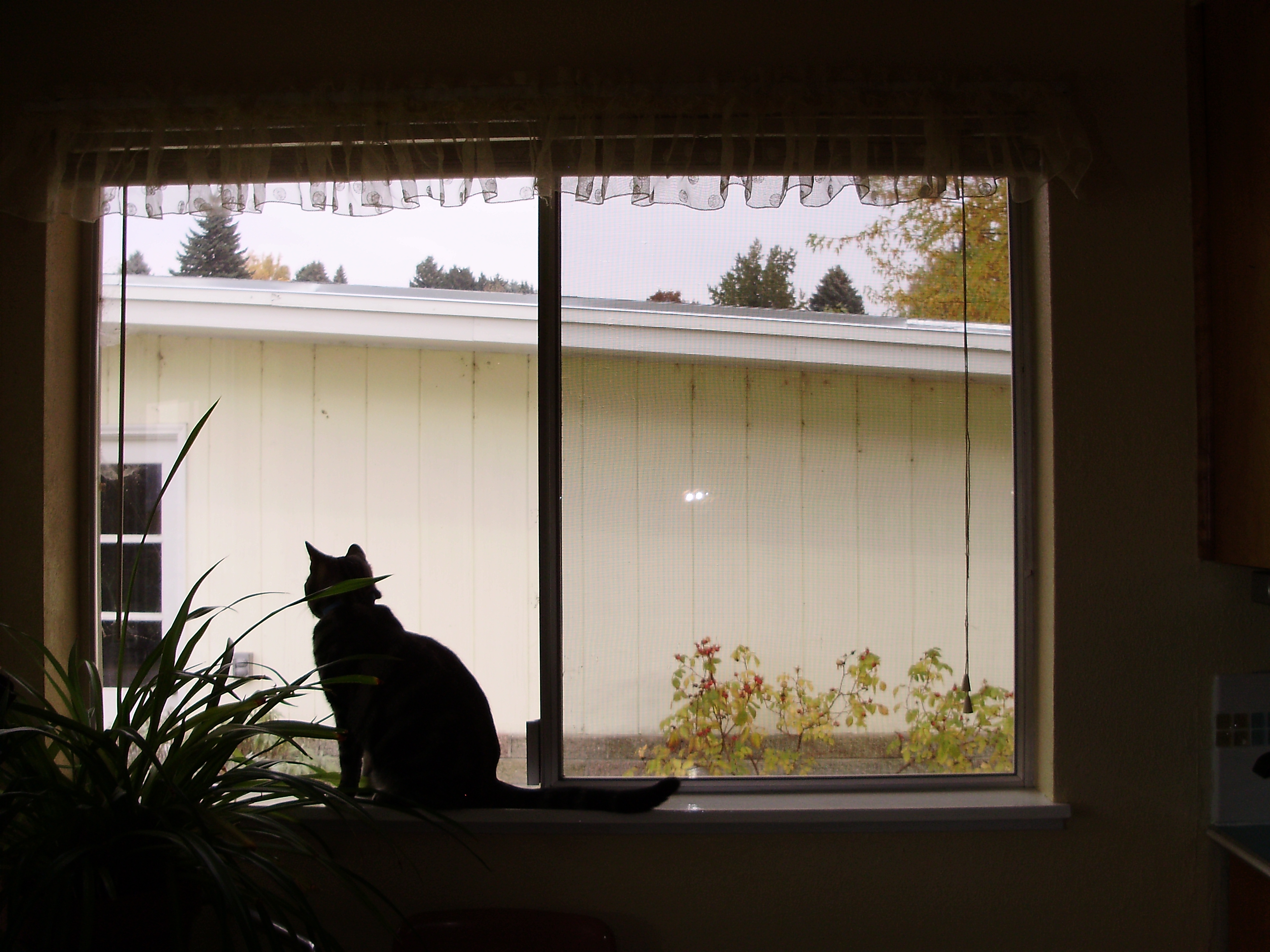 Repair Damaged Pull Cords on Horizontal Blinds 7 Steps Instructables