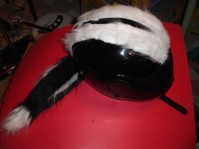 Skunkhelm! Skunk Striped Motorcycle Helmet
